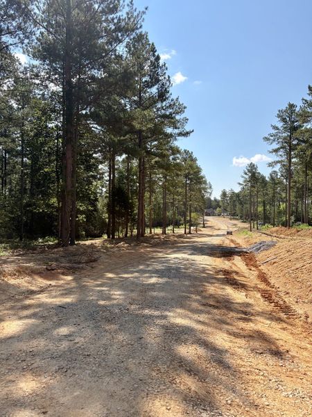 Natural surroundings and green spaces near Pine Ridge in Soddy-Daisy, TN (Image 61). Natural surroundings and green spaces near Pine Ridge in Soddy-Daisy, TN (Image 61).