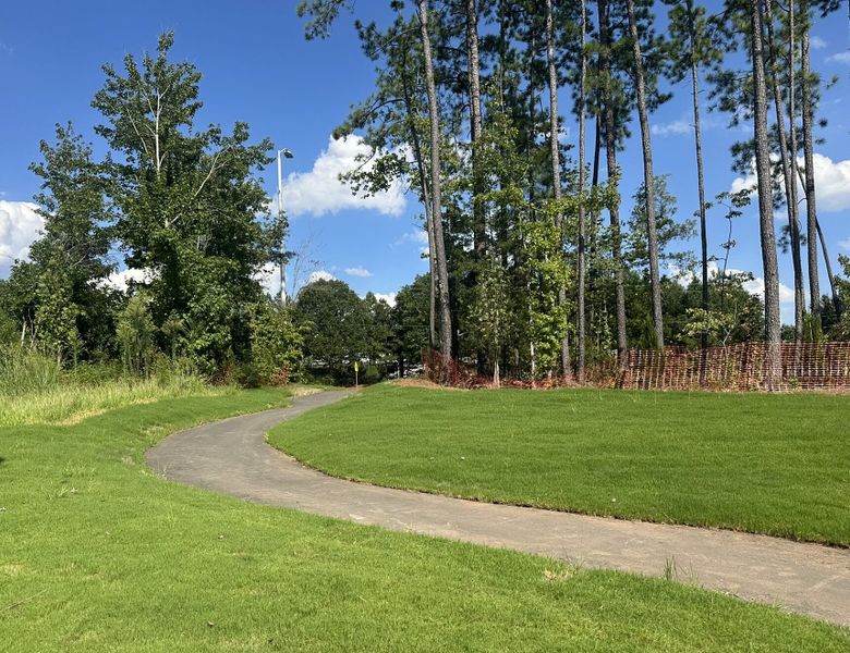 Walking Trail Walking Trail