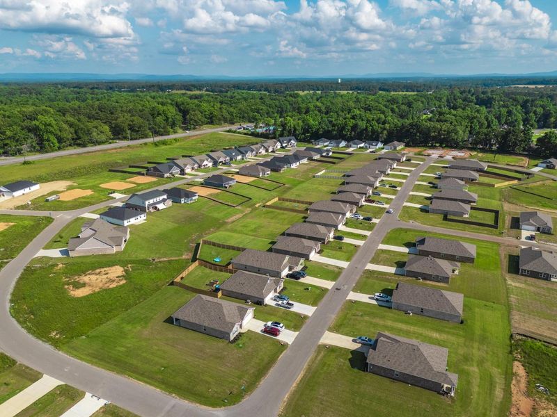 Aerial view of the Bailey Park community in Fayetteville, TN, showing layout and nearby surroundings (Image 11).
