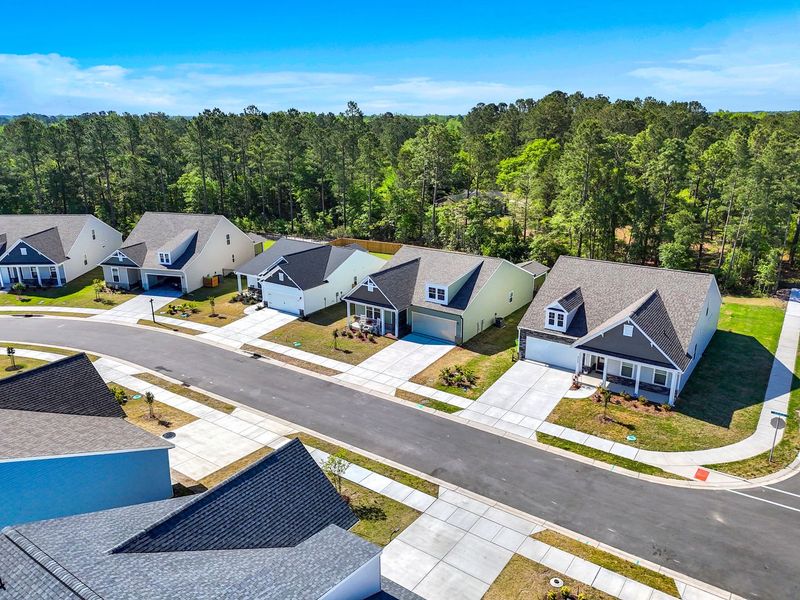 Tree-Lined Views and Modern Homes Come Together at Pinewood, Offering Comfort in a Naturally Scenic Setting
