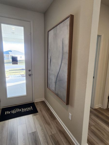 A bright entryway with wood flooring, abstract art, and a glass door.