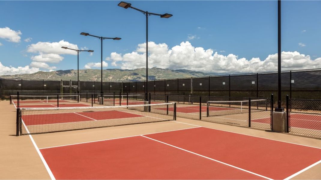pickleball court