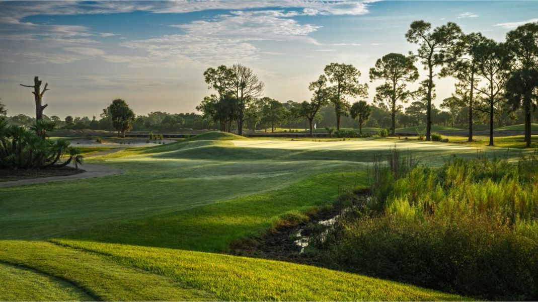 Ibis Landing Golf course