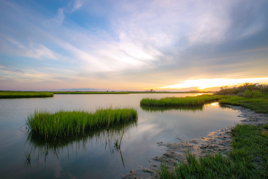 Natural surroundings and green spaces near Sandy Bluff in Yulee, FL (Image 51).