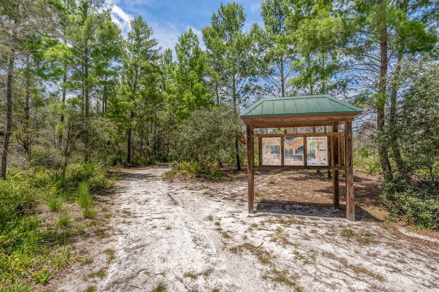 Go Hiking at the Nearby Lake Lizzie Conservation Trailhead