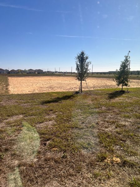 A spacious lot with young trees and clear skies at Scenic Terrace by Taylor Morrison in Lake Hamilton, FL.