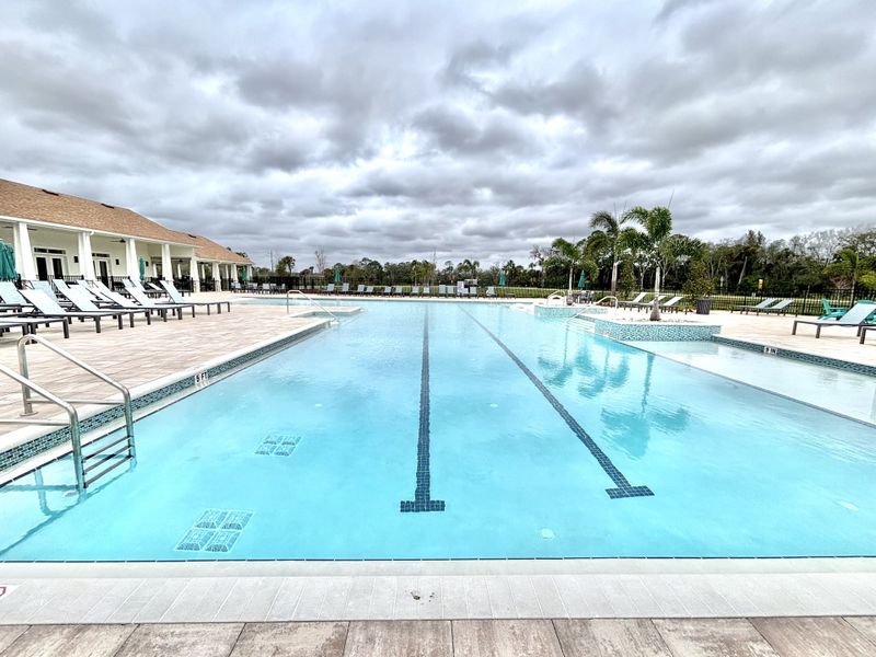 Expansive swimming pool area with loungers and palm trees in Naples Village at Verona I by KB Home (Titusville, FL).