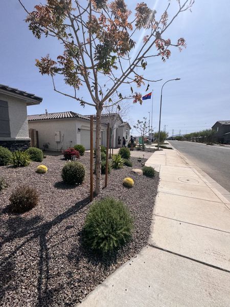 A charming streetscape with xeriscaped yards in Fire Sky at Alamar by Richmond American Homes (Avondale, AZ).
