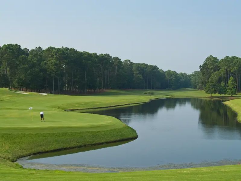 Community amenity available to residents of Stewart's Glen | 55+ Community in Smyrna (Image 14).