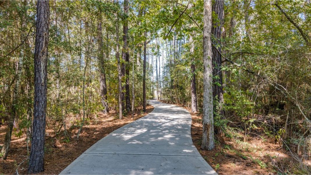 Ladera Creek Ladera Creek