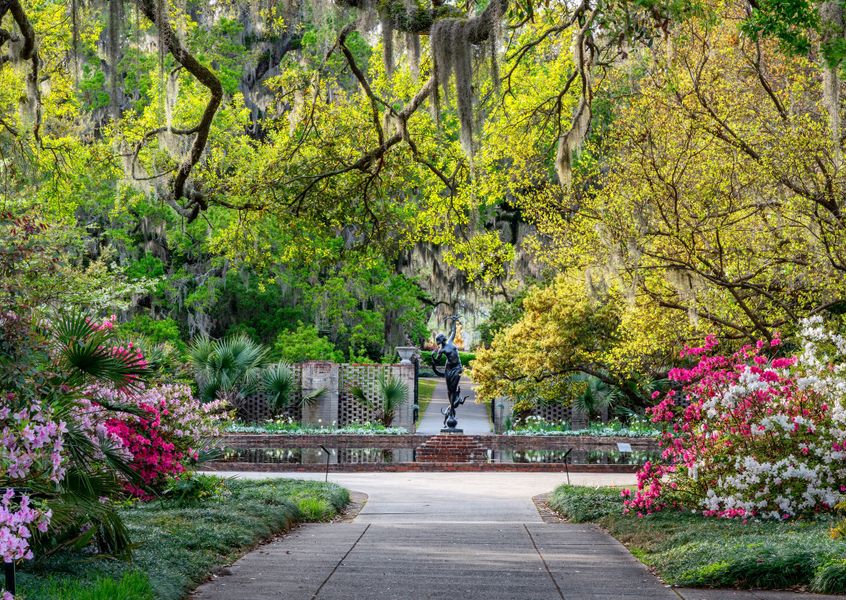 15 Minutes from Brookgreen Gardens