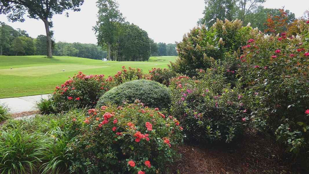 Natural surroundings and green spaces near The Villas at Pinewood in Asheboro, NC (Image 15). Natural surroundings and green spaces near The Villas at Pinewood in Asheboro, NC (Image 15).