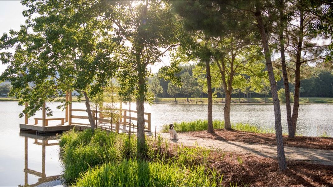 Carnes Crossroads Lake