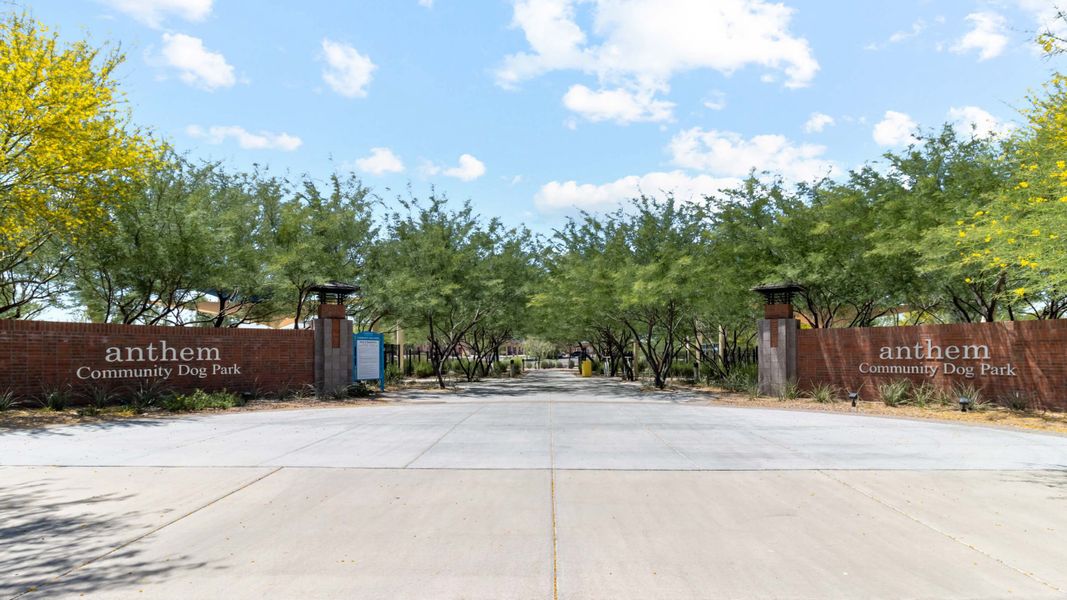 Image 120 of the Anthem at Merrill Ranch community in Florence, AZ.