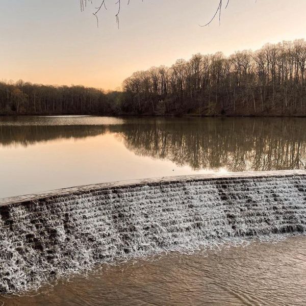 Hickory Cove - DSLD Homes - Dickson TN - Montgomery Bell State Park