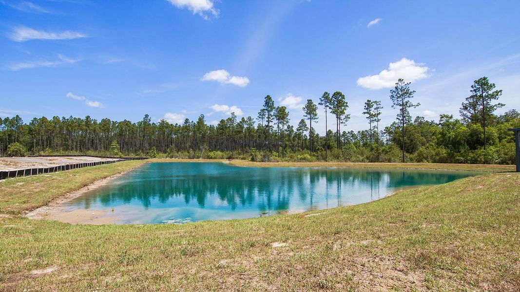 Community amenity available to residents of Ashton Park Phase III in Freeport (Image 2).