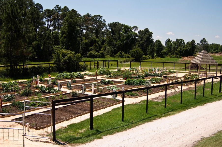 Lakes at Harmony Community Garden