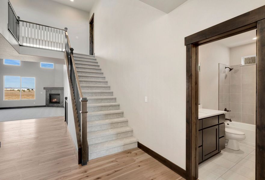 The Aurora Highlands,80019