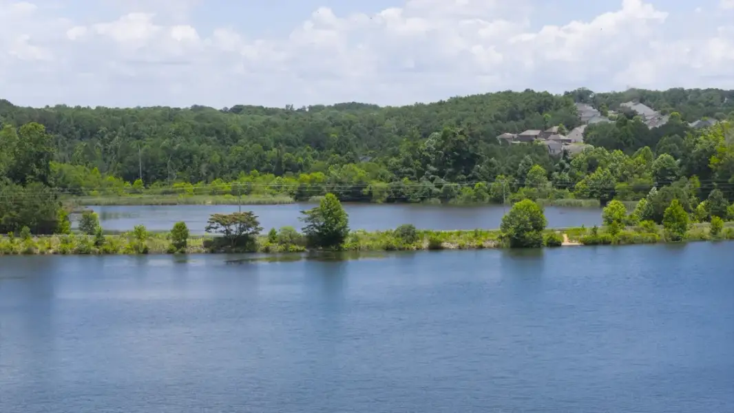 Natural surroundings and green spaces near Keithsburg Crossing in Canton, GA (Image 9).