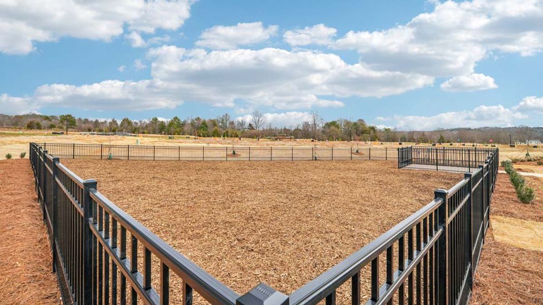 Community amenity available to residents of Clark Creek Landing in Lincolnton (Image 14). Community amenity available to residents of Clark Creek Landing in Lincolnton (Image 14).
