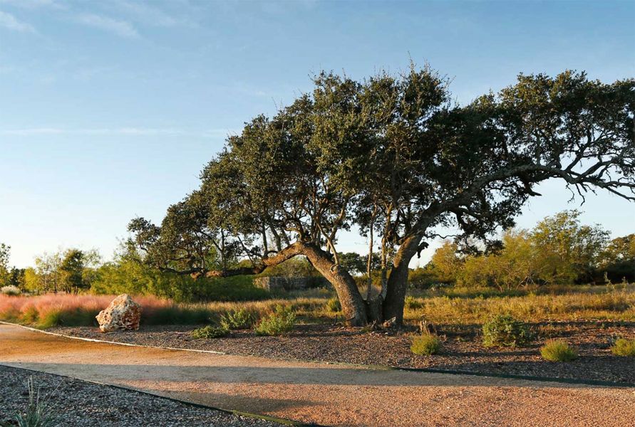 Natural surroundings and green spaces near Oaks at San Gabriel in Georgetown, TX (Image 28).
