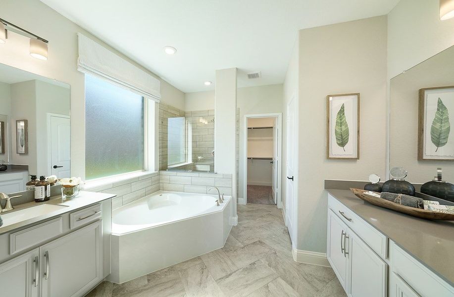 Image 21 of the Bluewater Lakes community in Manvel, TX.