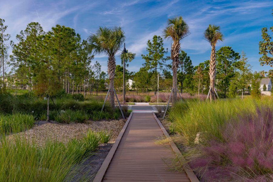 Trinity Gardens in DeLand, FL – New Home Community Surrounded by Nature Trinity Gardens in DeLand, FL – New Home Community Surrounded by Nature