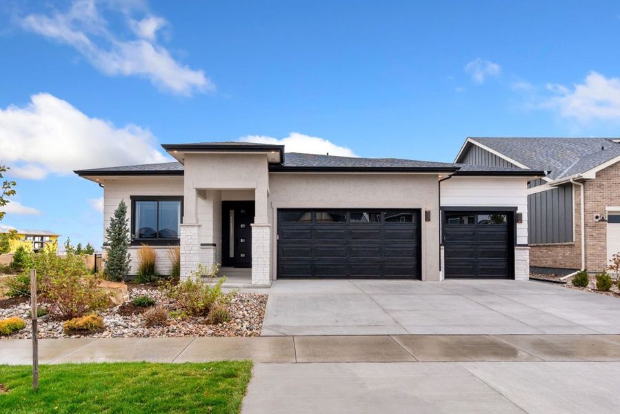 The Aurora Highlands,80019