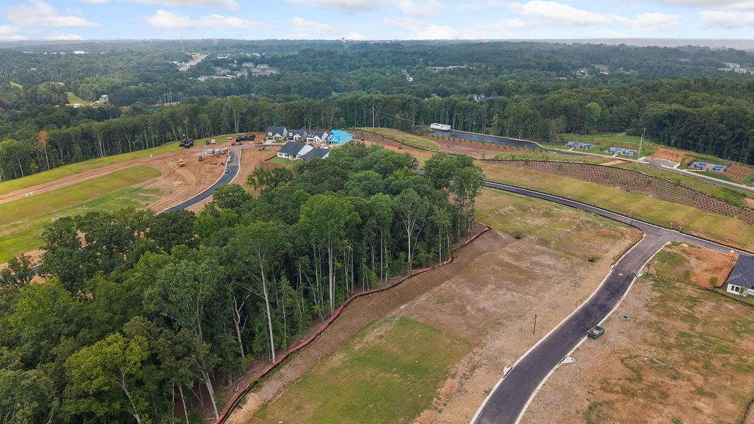 Site preparation and early development at Lanier Landing - Retreat Collection in Gainesville, GA (Image 19).