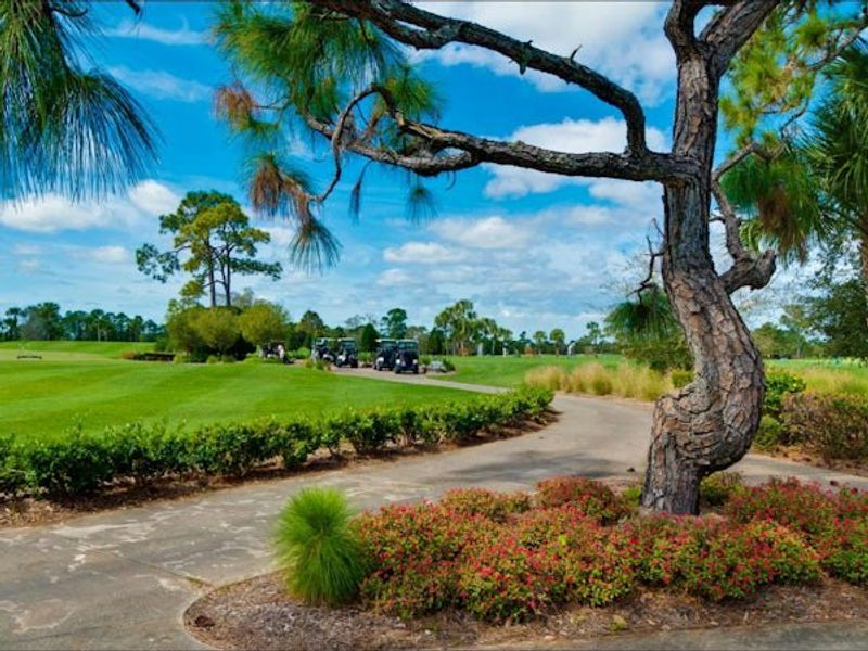 Natural surroundings and green spaces near Bent Pine Preserve in Vero Beach, FL (Image 83).