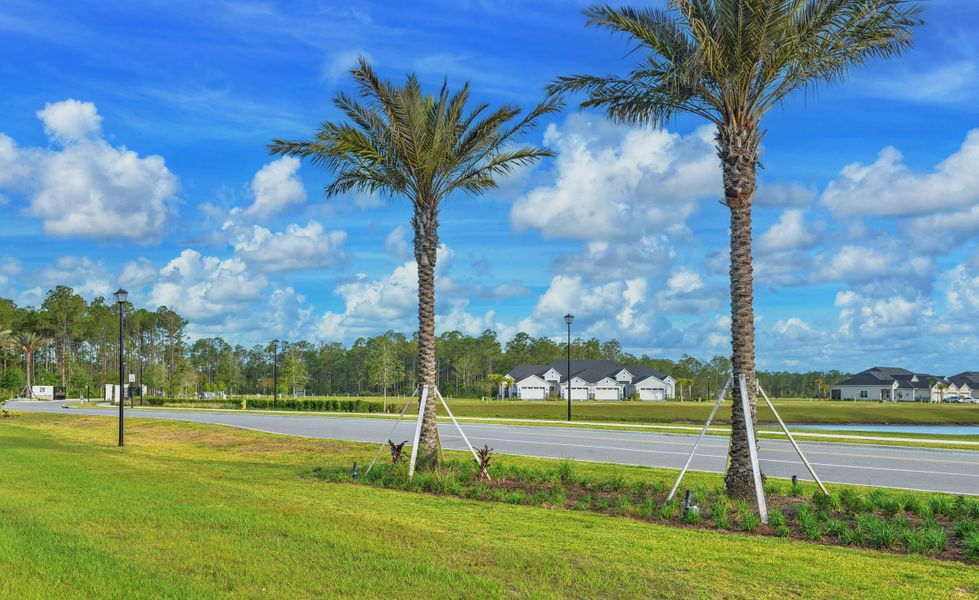 Natural surroundings and green spaces near Woodhaven Townhomes in Port Orange, FL (Image 23). Natural surroundings and green spaces near Woodhaven Townhomes in Port Orange, FL (Image 23).