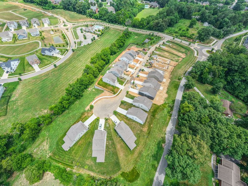 The Grove at Ivey Farms Phase