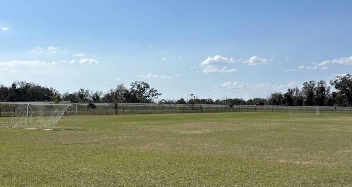 A well-maintained soccer field with open green space, perfect for outdoor activities in Avian Pointe Townhomes by D.R. Horton (Apopka, FL).