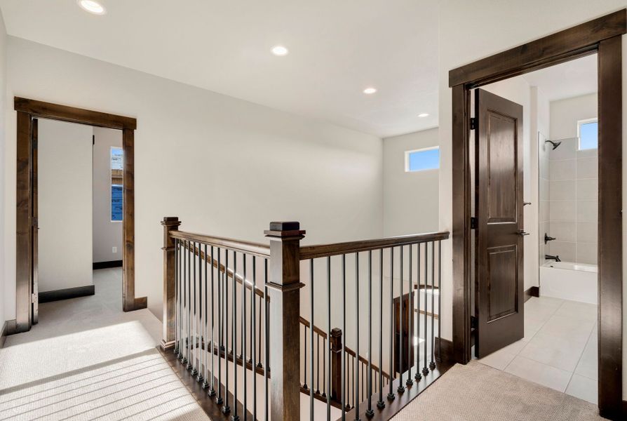 The Aurora Highlands,80019