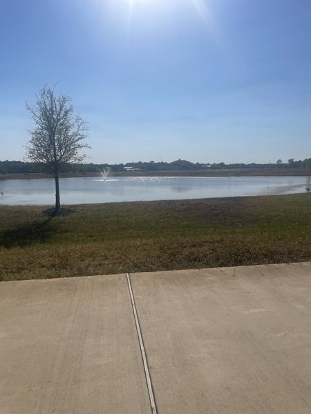 A serene lakeside view with a single tree in Tealpointe Lake Estates by Jamestown Estate Homes (Tomball, TX).