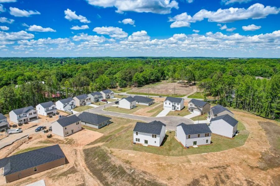 A group of houses in a wooded area. A group of houses in a wooded area.