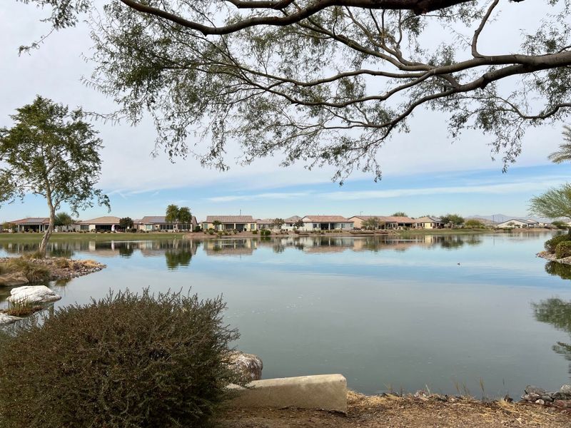 Scenic lakeside view at CantaMia at Estrella 55+ by Taylor Morrison, offering serene waterfront living in Goodyear, AZ.