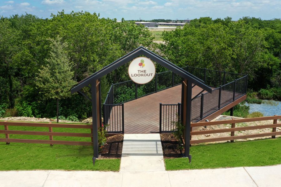 Treeline The Lookout