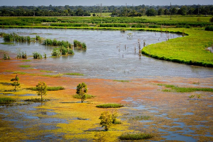 Natural surroundings and green spaces near Cross Creek Ranch in Fulshear, TX (Image 11). Natural surroundings and green spaces near Cross Creek Ranch in Fulshear, TX (Image 11).