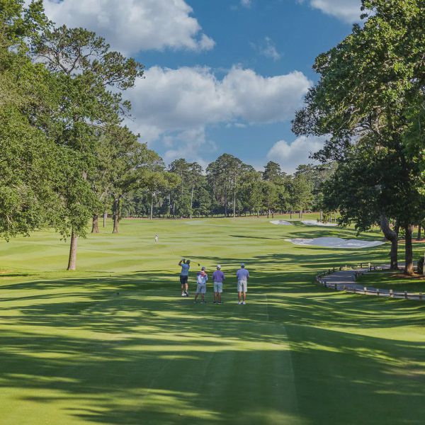 Natural surroundings and green spaces near Rio Vista at Kelly Ranch in Aledo, TX (Image 8).