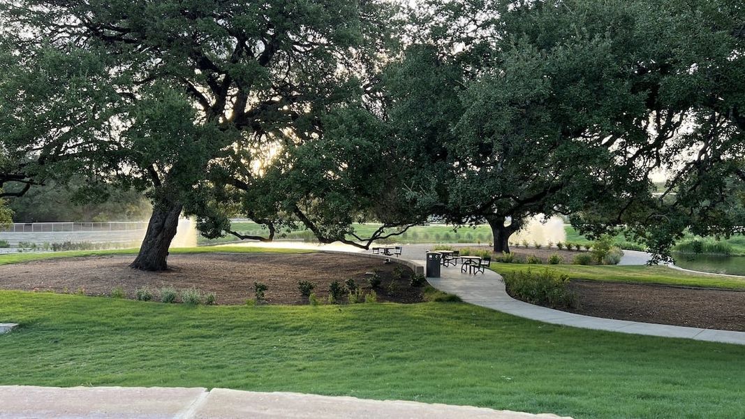 Natural surroundings and green spaces near The Grove At Shoal Creek in Austin, TX (Image 21).
