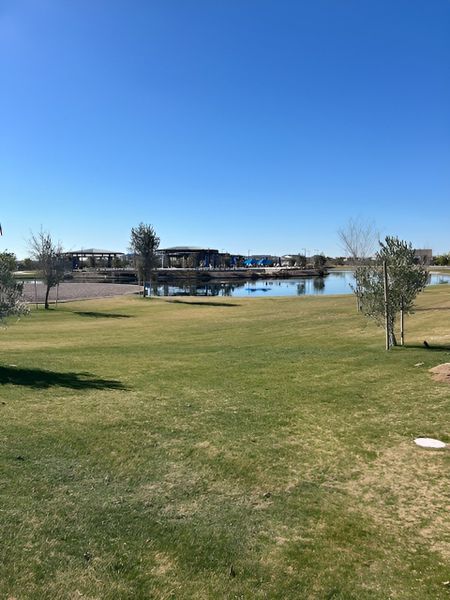  A well-maintained grassy area with a pond and community amenities in the background.