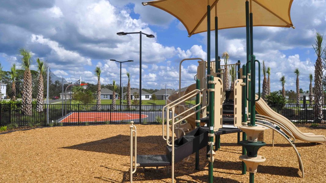 Community amenity available to residents of Rye Crossing in Parrish (Image 16).