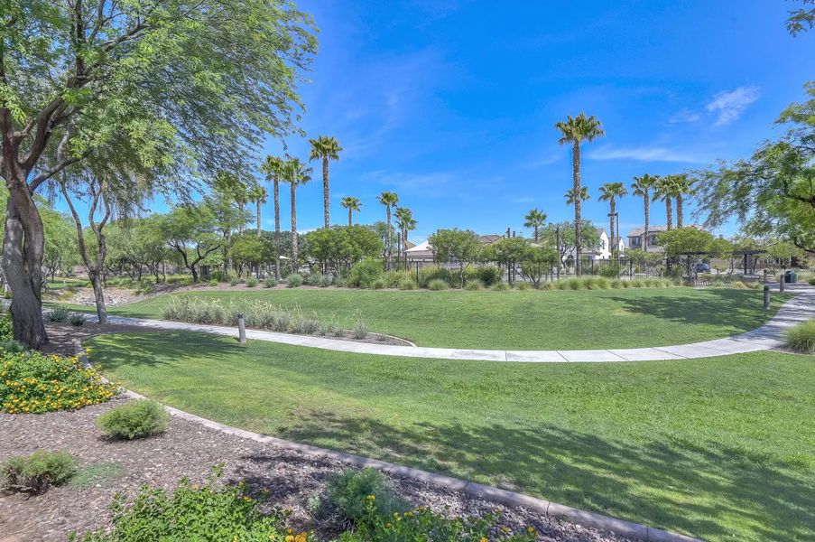 Image 9 of the Desert Oasis master-planned community in Surprise, AZ.