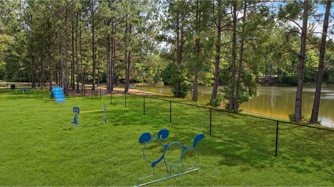 Twelve Parks Aerial Amenity Dog Park 060625