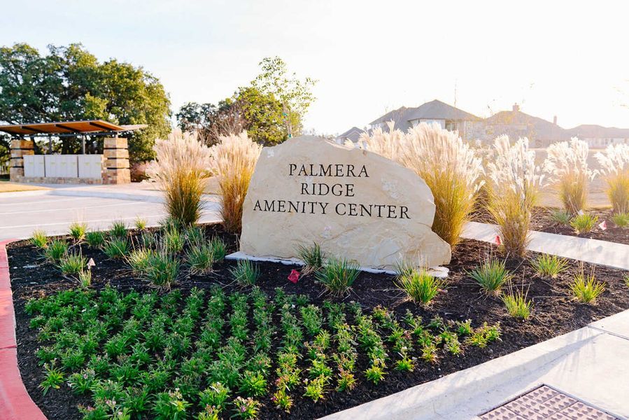 Entrance to the Palmera Ridge: 80ft. lots community in Leander, TX, featuring signage and landscaping (Image 14).