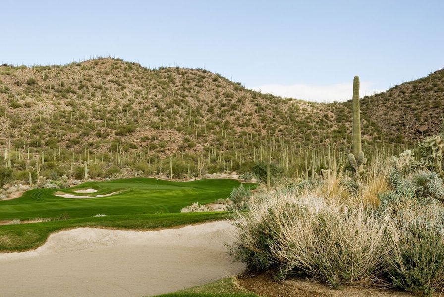Natural surroundings and green spaces near Saguaro Reserve II in Marana, AZ (Image 32). Natural surroundings and green spaces near Saguaro Reserve II in Marana, AZ (Image 32).