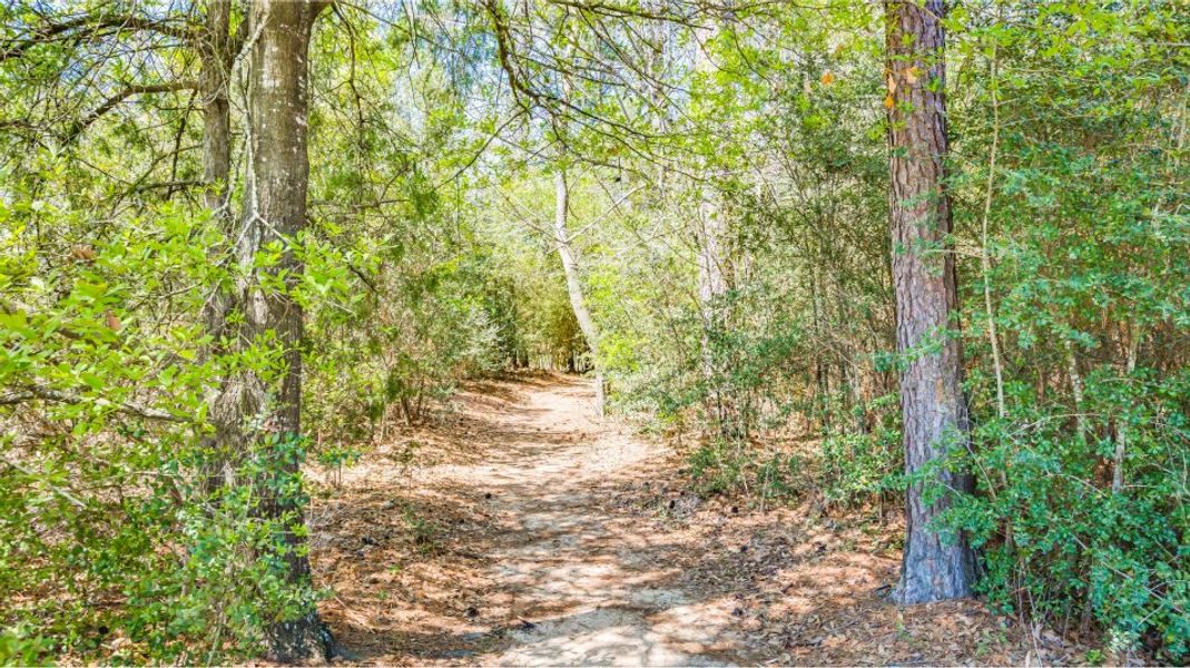 The Highlands The Highlands