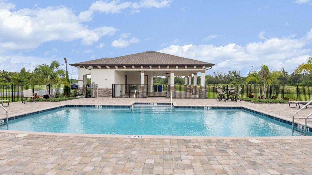 Resort-style swimming pool with sundeck, lounge chairs, and palm trees at Grasslands West in Lakeland, FL.