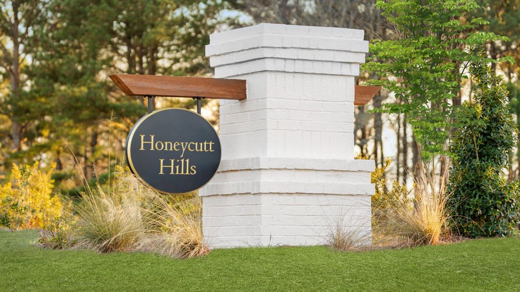 Image 19 of the Honeycutt Hills community in Angier, NC.
